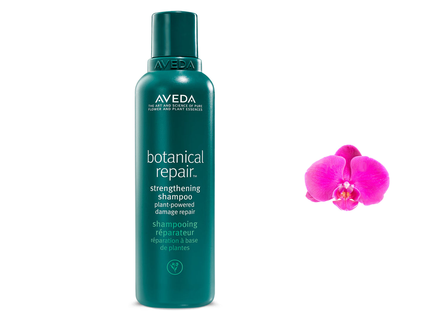 Aveda Botanical Repair Strengthening Shampoo 6.7oz / 200ml