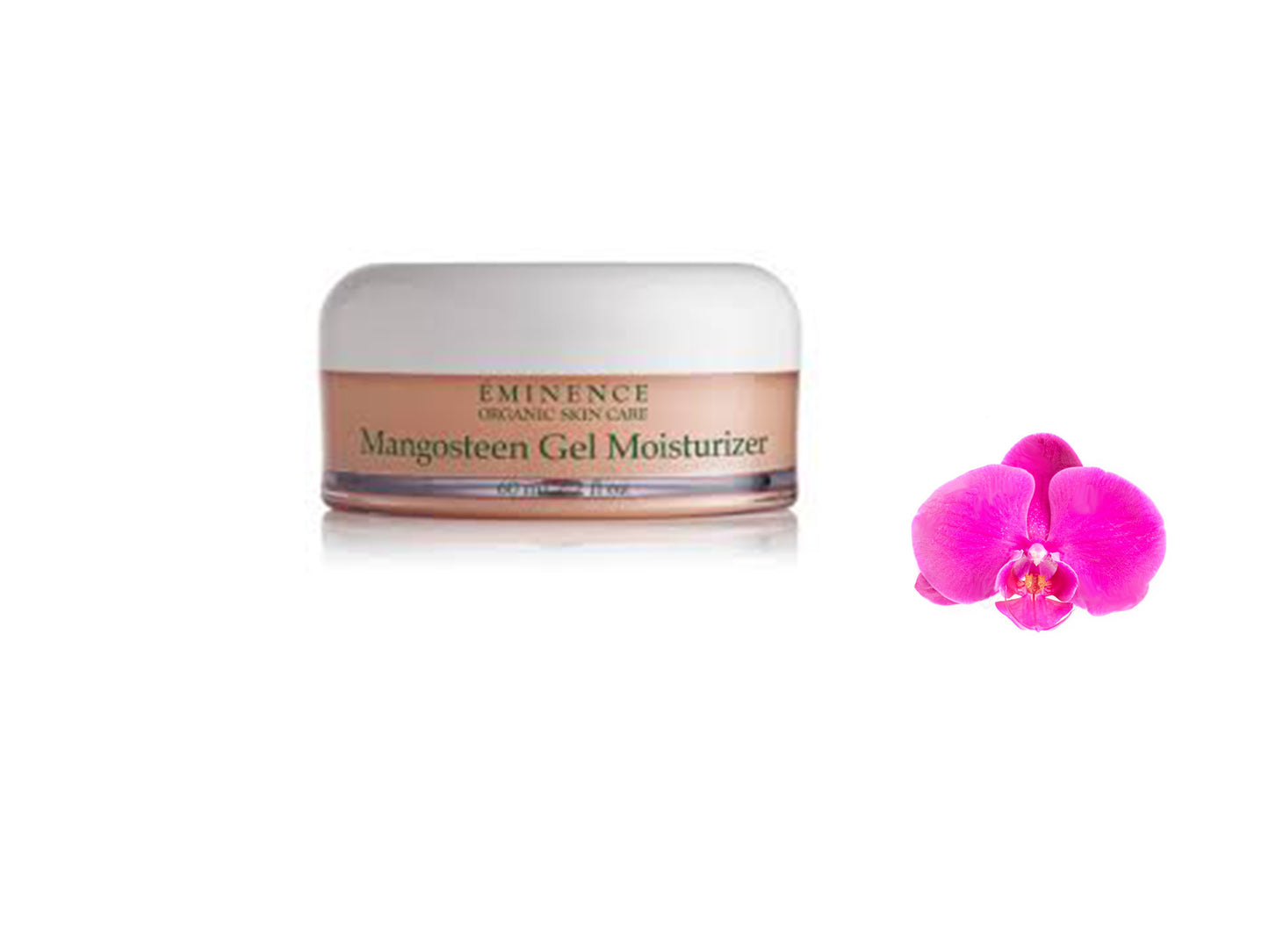 Eminence Mangosteen Gel Moisturizer 125ml / 4.2oz Prof Brand New