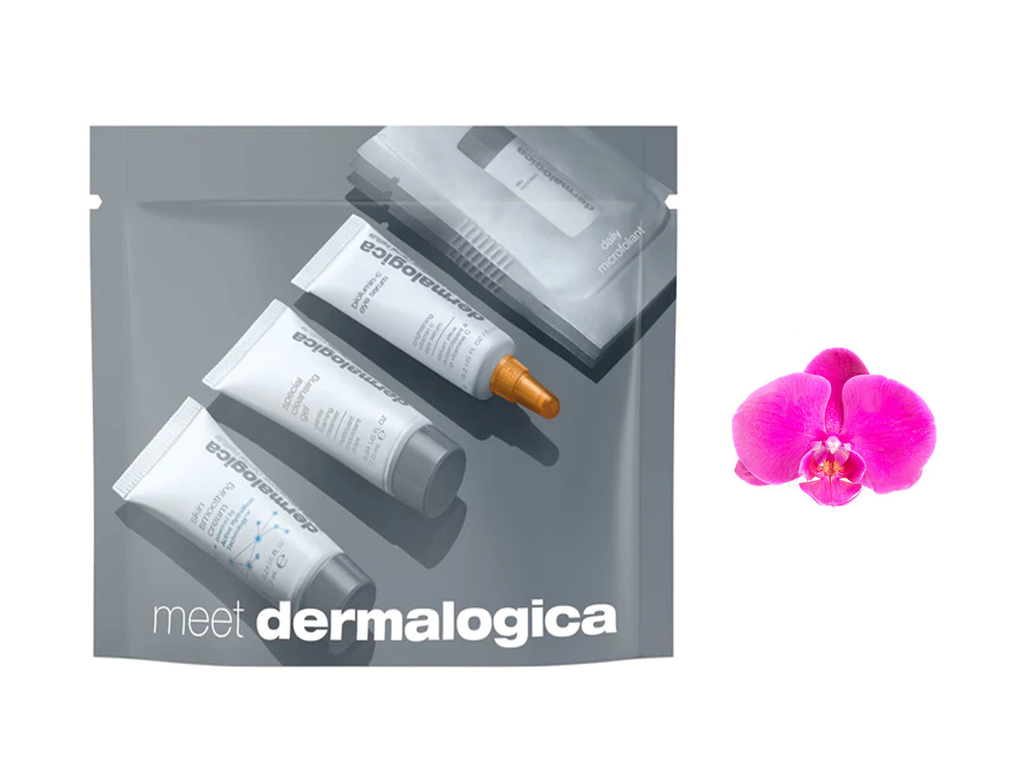 Dermalogica Meet Collection kit 4 products
