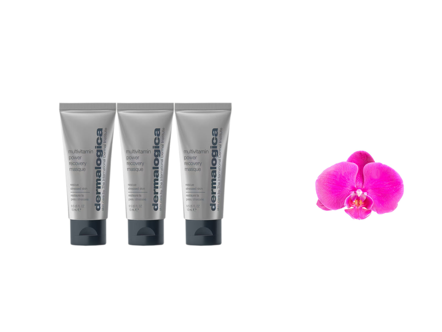 Dermalogica Multivitamin Power Recovery Masque 15ml / 0.5oz x 3 Tubes