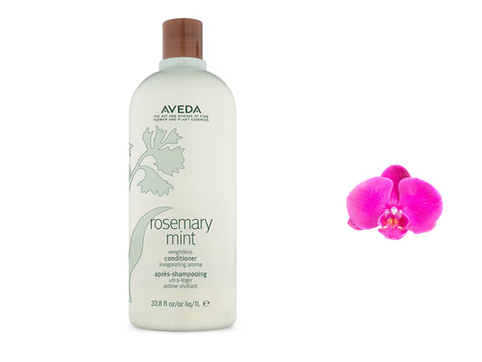 Aveda Rosemary Weightless Mint Conditioner 33.8oz / 1L Brand New