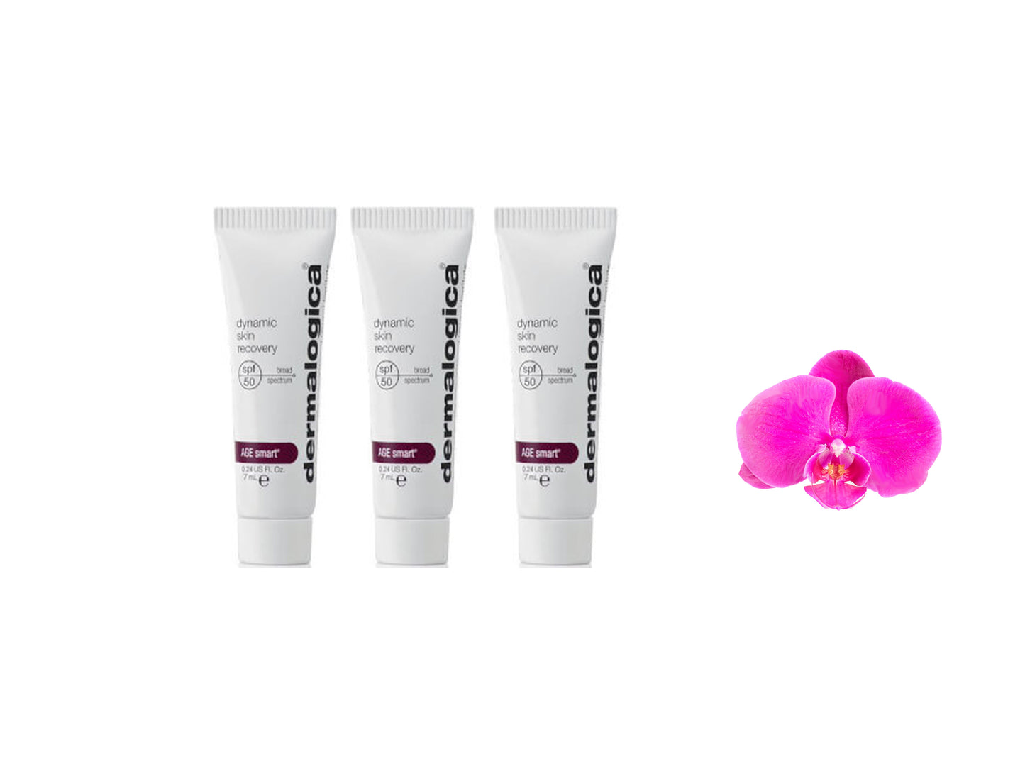 Dermalogica Travel Size Dynamic Skin Recovery SPF50 7ml / 0.24oz x 3 Tubes