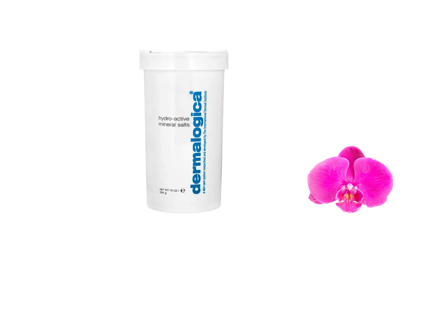 Dermalogica Hydro-Active Mineral Salts 10oz / 284g New Same Day Ship