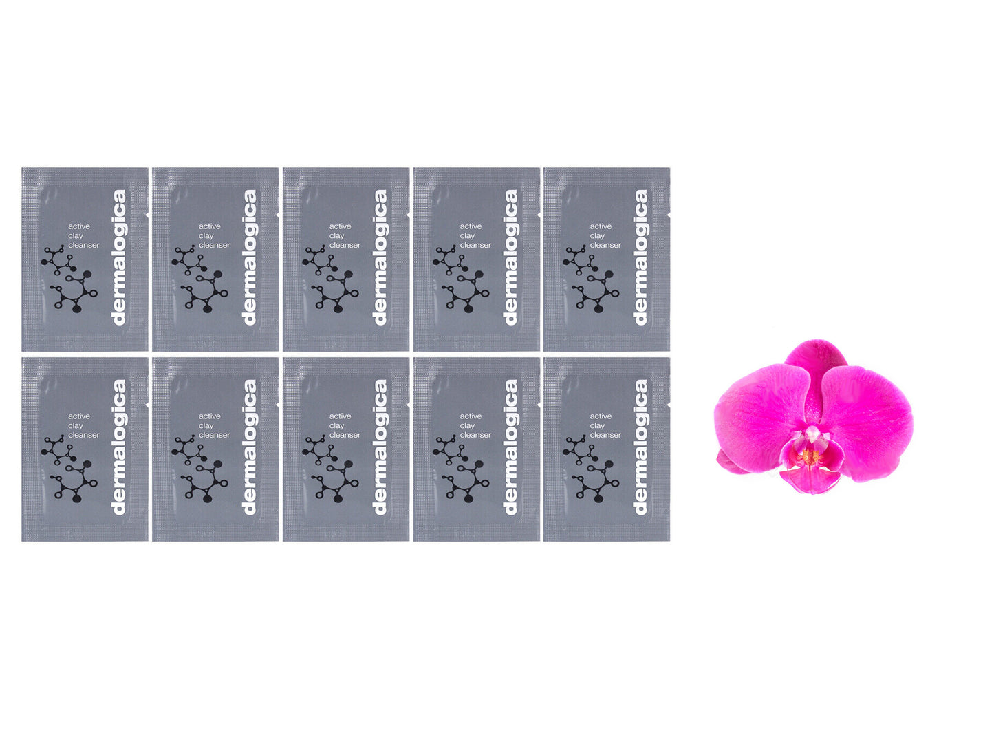 Dermalogica Active Clay Cleanser x 10 Samples