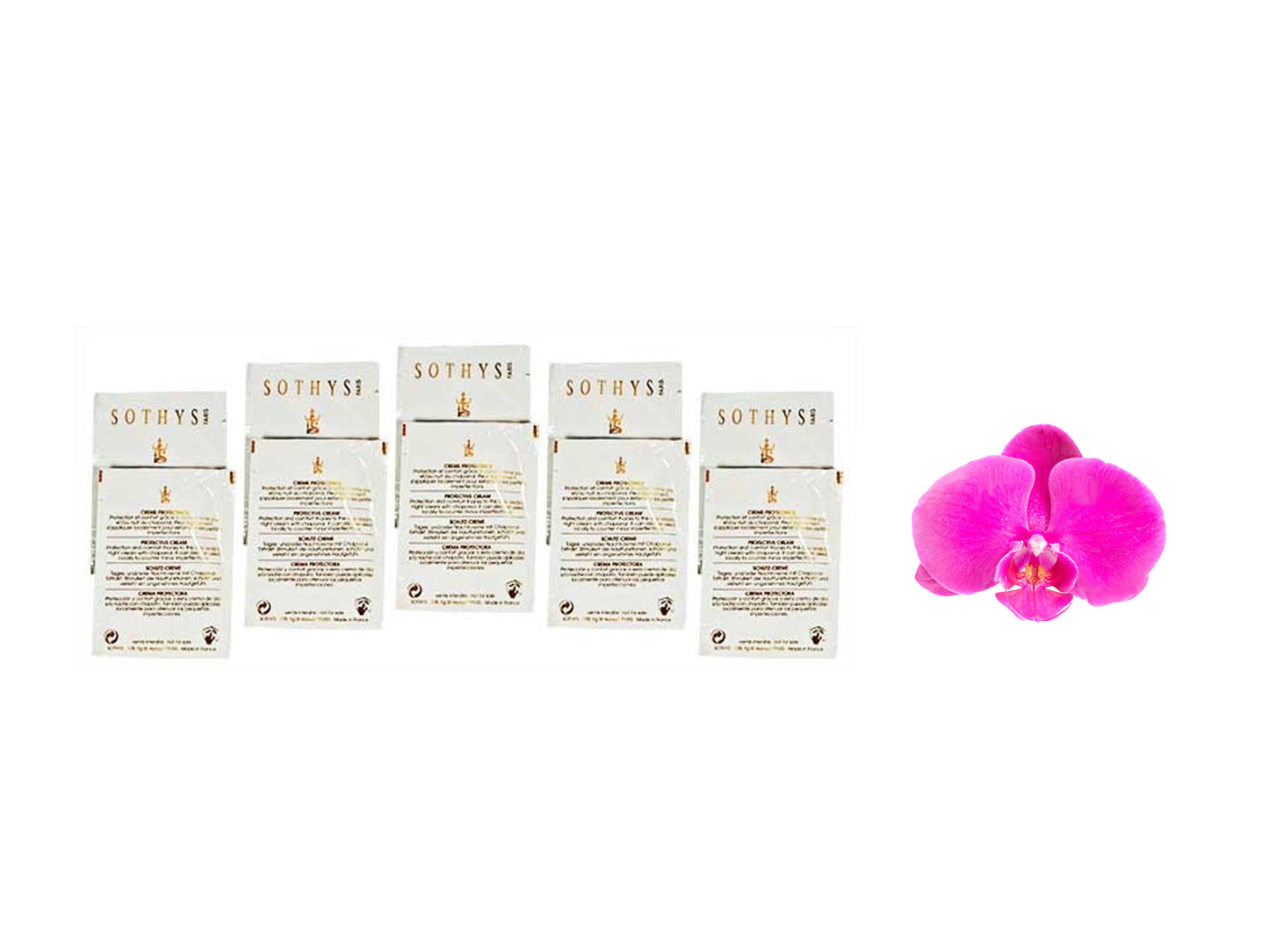 Sothys Noctuelle Time Interceptor Night Cream x 10 Samples