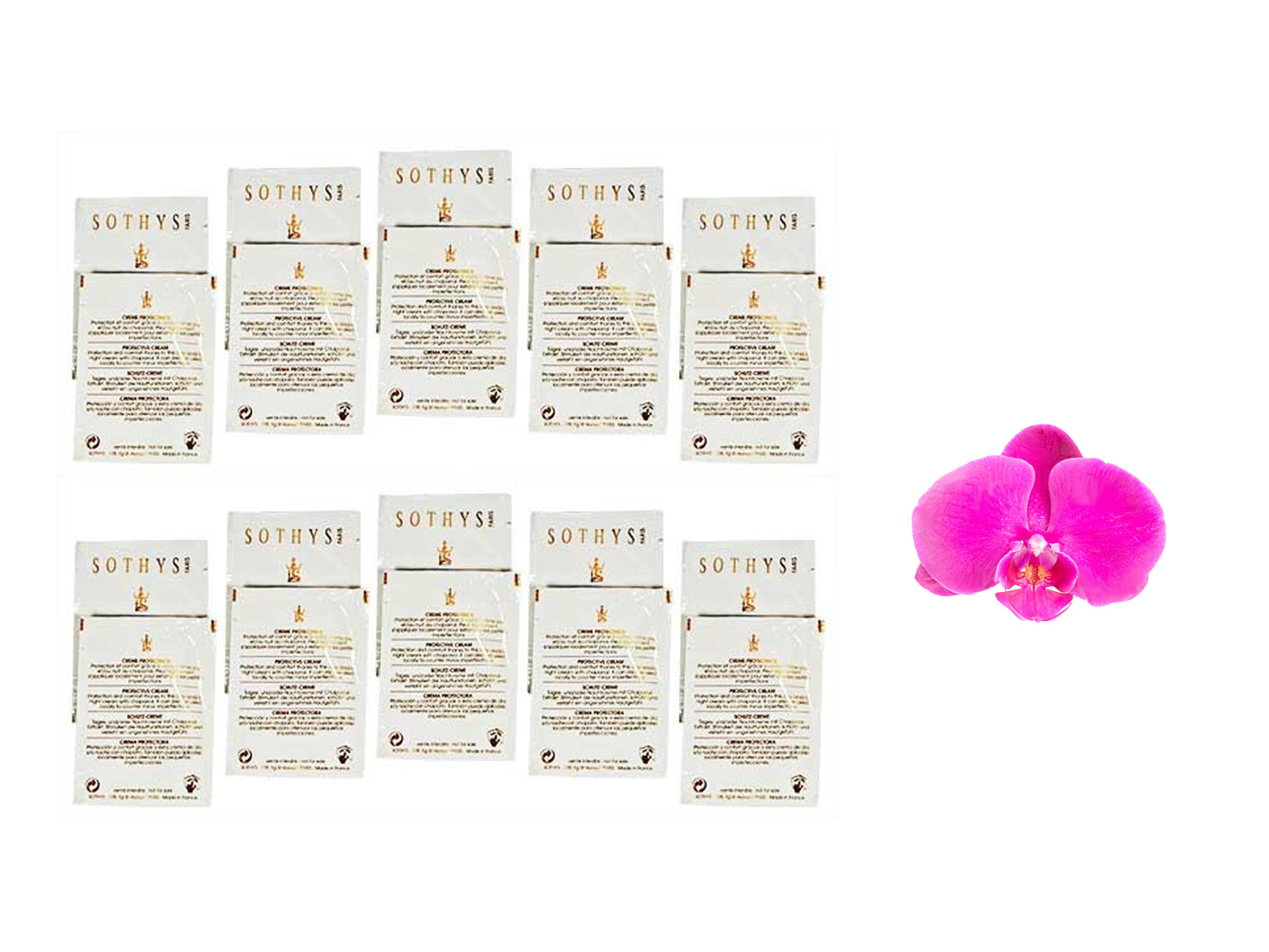 Sothys Detoxifying Active Cleanser With Phytomalt x 20 Samples