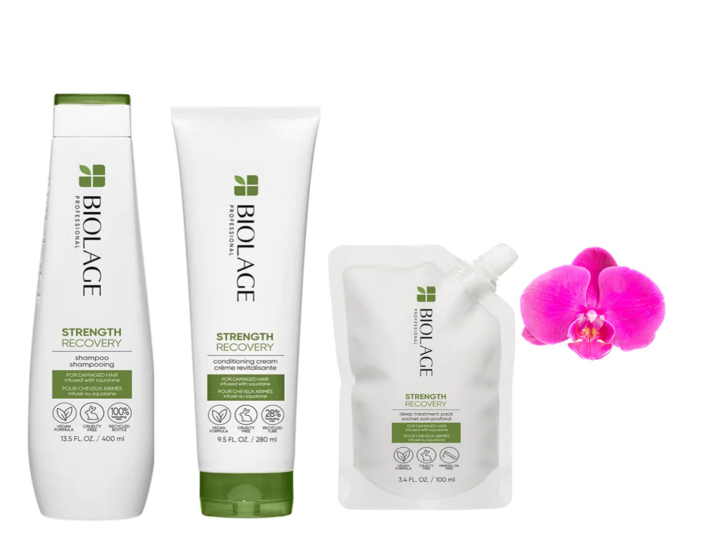 Biolage Strength Recovery Set of 3 shampoo,conditioning cream & deep treatment