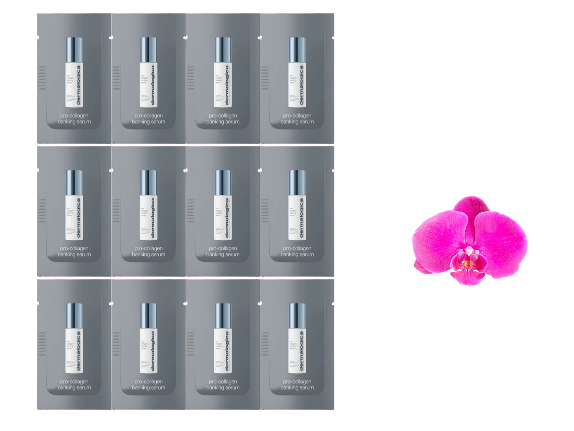 Dermalogica Dynamic Skin Retinol Serum 12 packages x 2ml