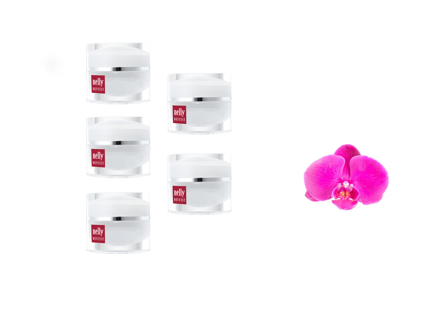 Nelly Devuyst Dry Skin Cream 4g x 5 Samples