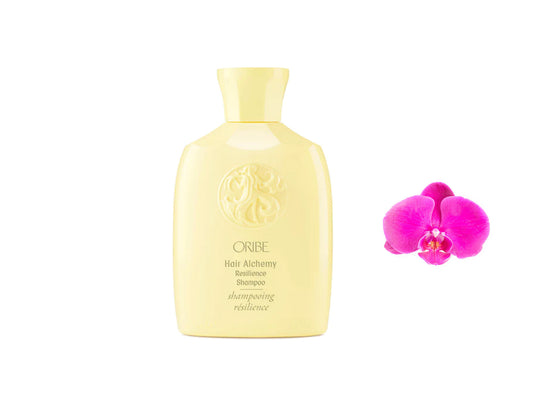Oribe Hair Alchemy Resilience Shampoo 2.5oz / 75ml
