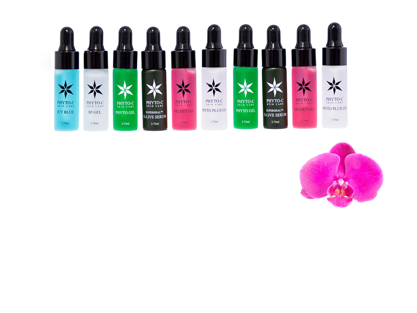 Phyto-C 10 mixed sample bottles x 3.75ml