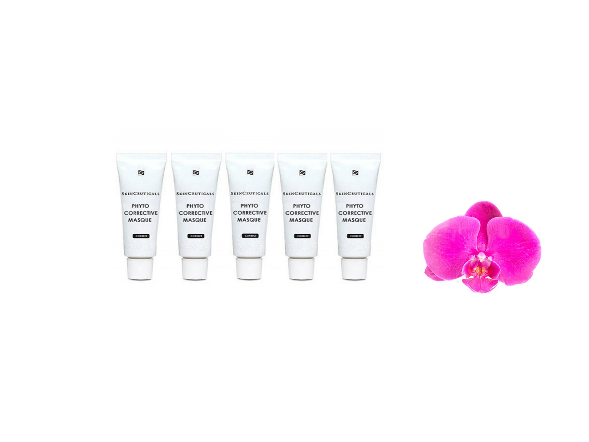  Skinceuticals Phyto Corrective masque 5 samples
